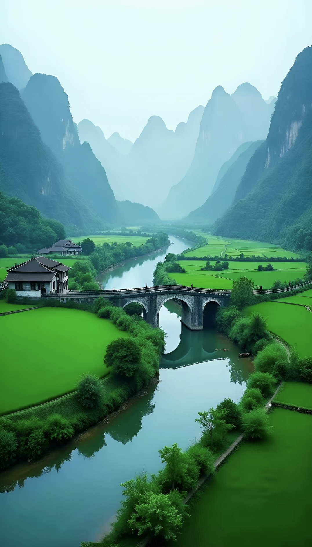 法甲直播
